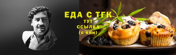 СК Вязьма