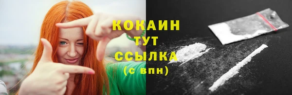 СК Вязьма
