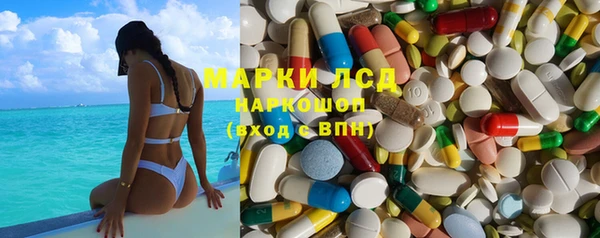 СК Вязьма