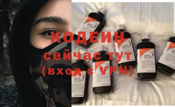 СК Вязьма