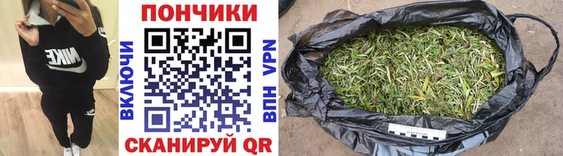 Каннабис Amnesia  Купить закладки  Кондопога 